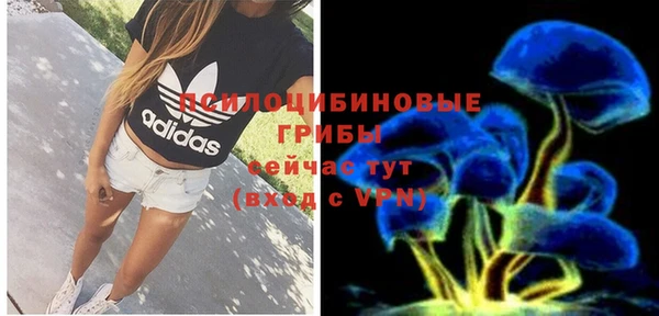 первитин Карпинск