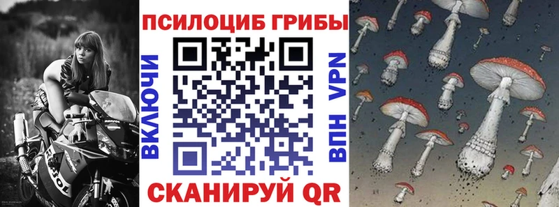 Галлюциногенные грибы GOLDEN TEACHER  Купить где  Георгиевск 